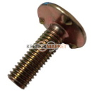 Норийный болт DIN 15237 М10х35 (35)
