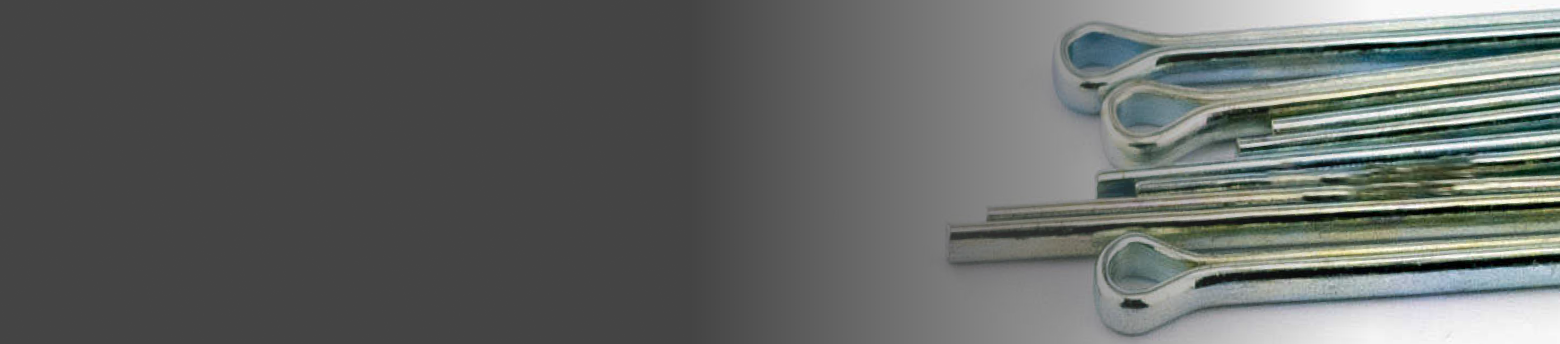 Главная