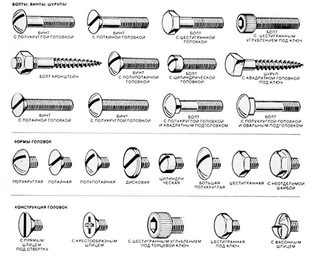 Винты — что это, как работают и где используются винтовые крепежи